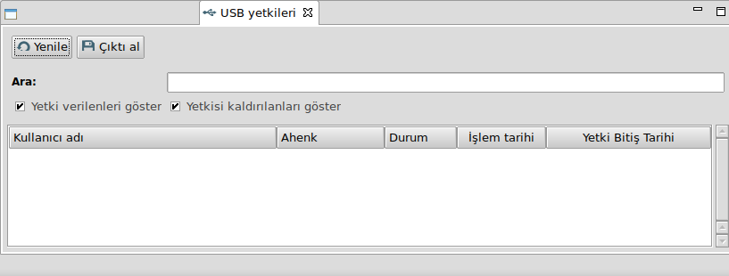 Lider USB Yetkileri