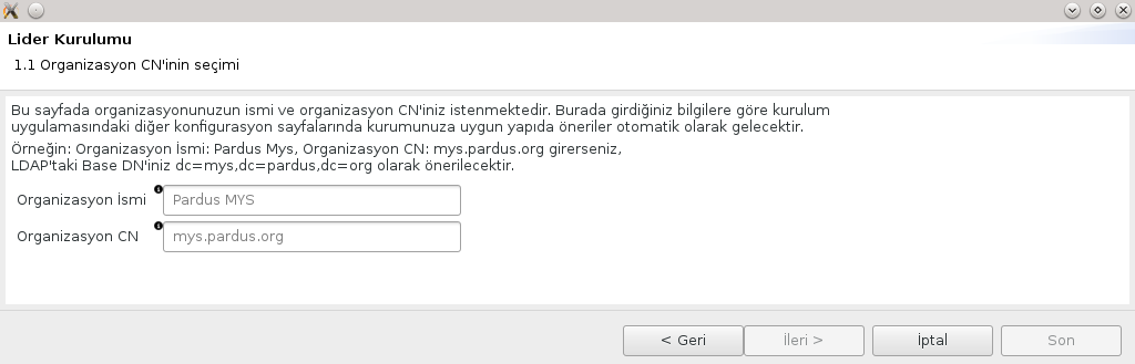 installer_organizasyon