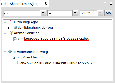 Lider Arayüz Ldap Arama