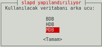 Slapd Veritabanı