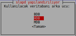 Slapd Veritabanı