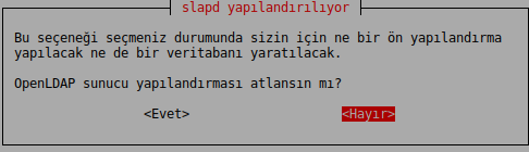 Slapd Yapılandırma