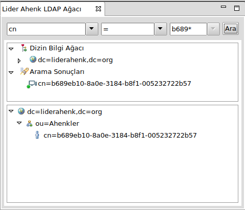 Lider Arayüz Ldap Arama