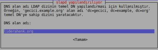 Slapd DNS